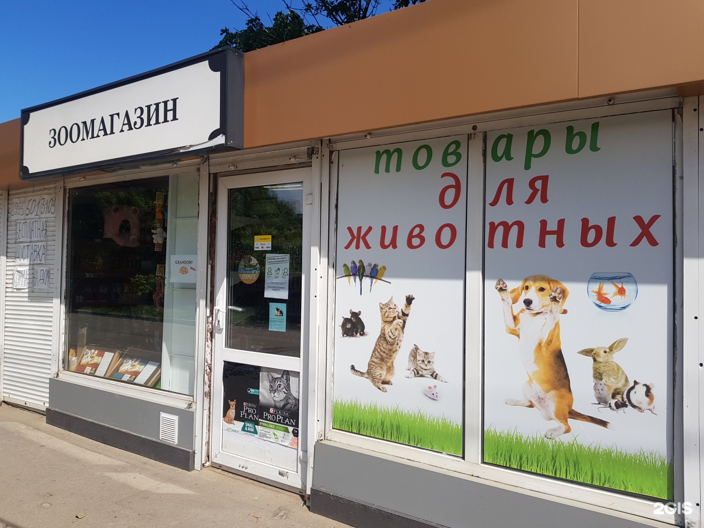 Название магазина для животных