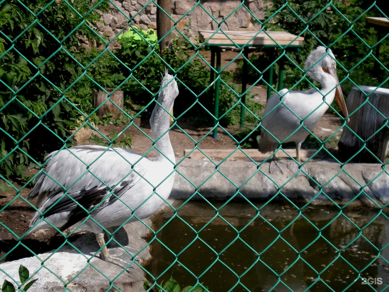 челябинск зоопарк