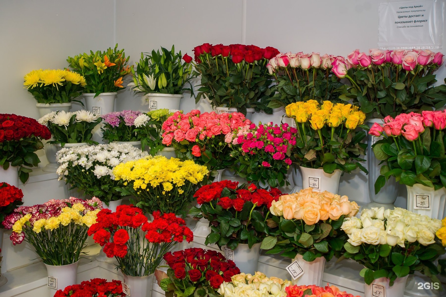 Цветы в наших цветочных магазинах