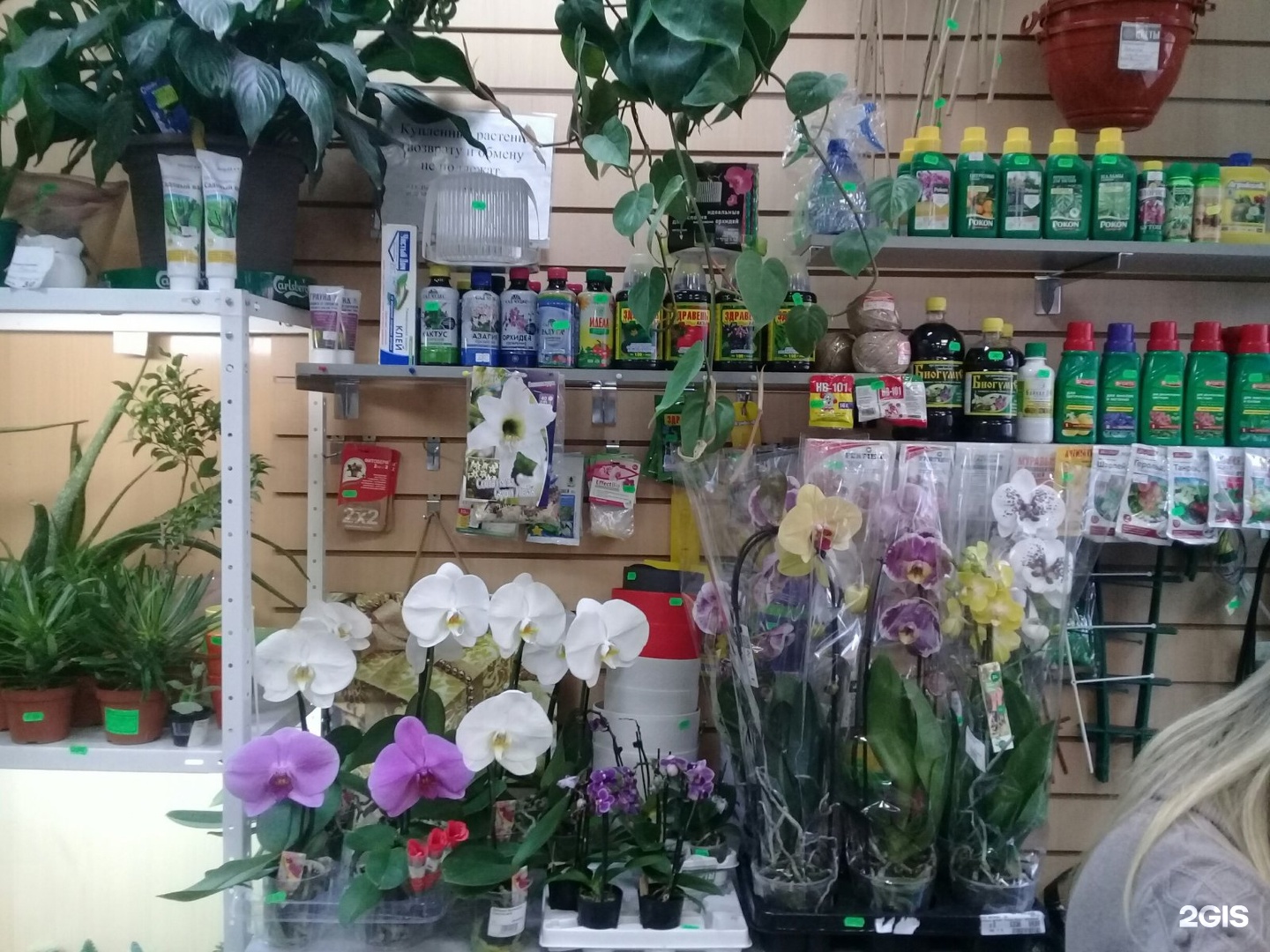 Где Купить Цветы В Ленинском Районе
