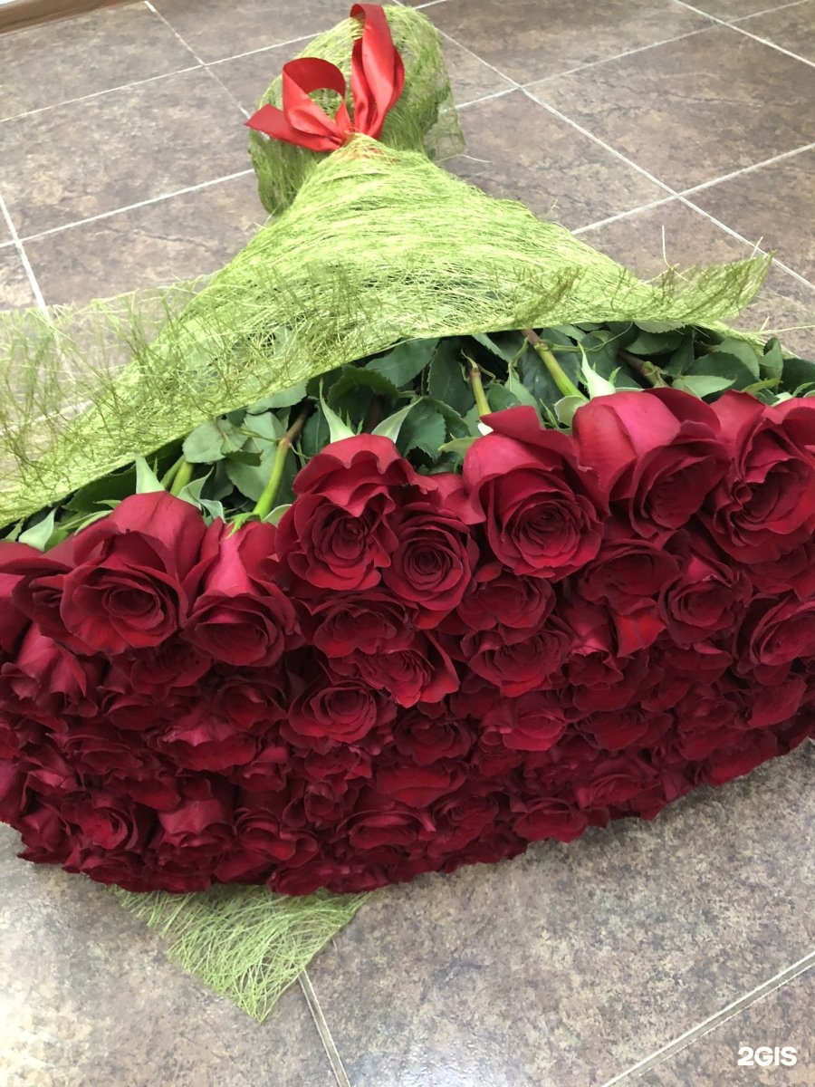 Огромный букет бордовых роз
