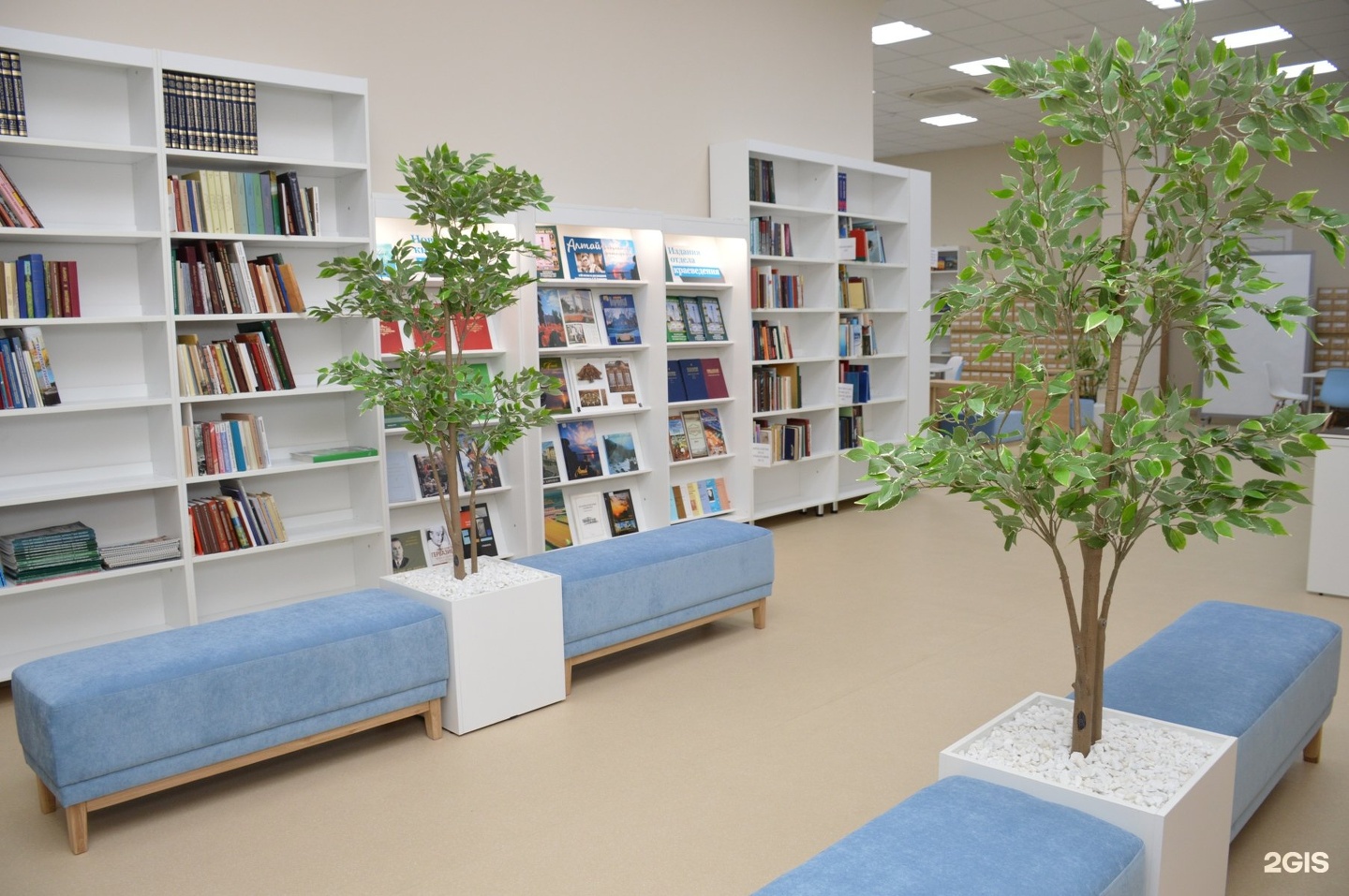Шишковка библиотека Барнаул читальный зал
