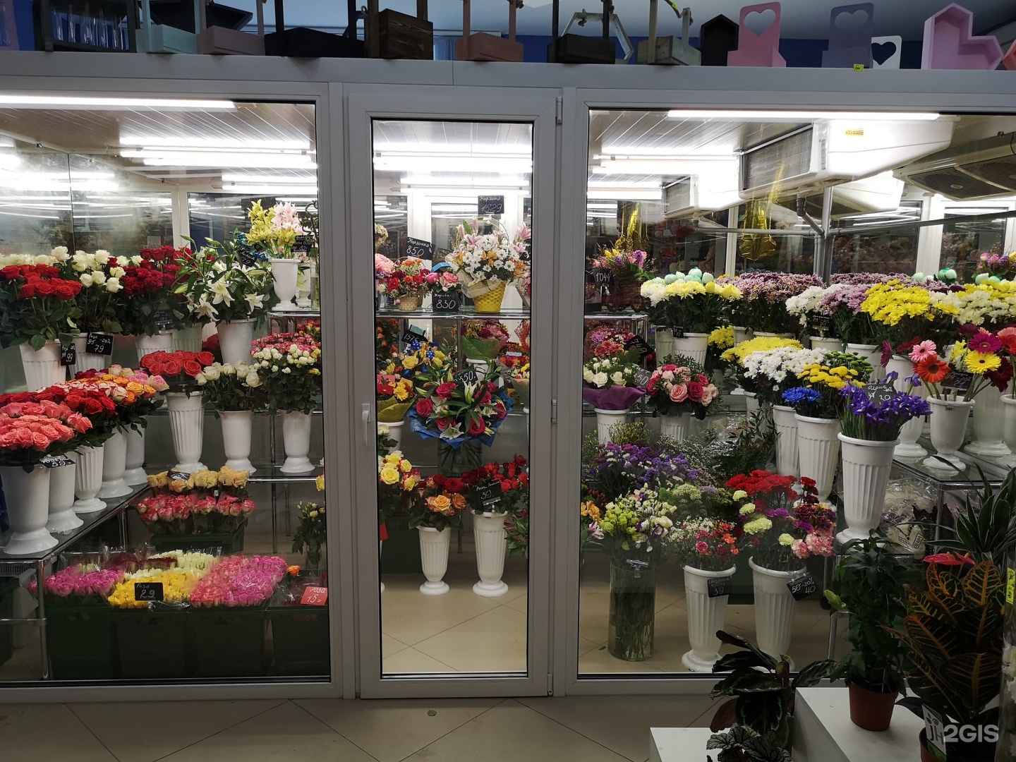 Где Купить Цветы В Липецке Недорого