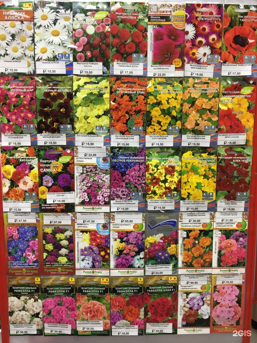 Где Дешевле Купить Семена Цветов