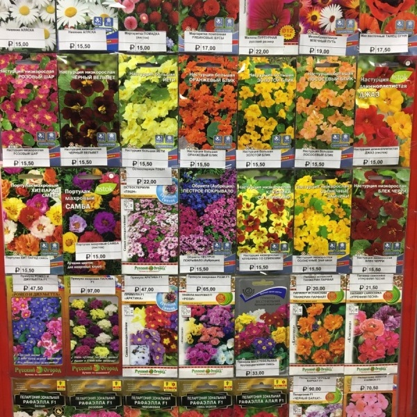 Где Лучше Купить Семена Цветов
