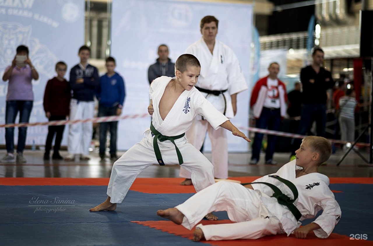 карате екатеринбург мебель. карате екатеринбург мебель. рцфкс каратэ екатеринбург. карате екатеринбург мебель. карате екатеринбург мебель.