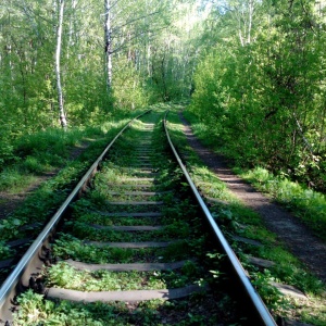 Фото от владельца Сосновый бор, парк культуры и отдыха