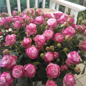 Фото от владельца Магазин цветов, ИП Маркосова Е.В.