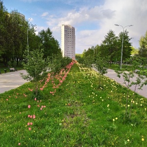 Фото от владельца Современная стоматология, ООО