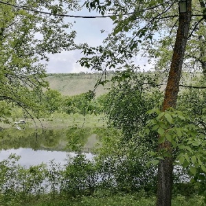 Фото от владельца Алые паруса, загородный комплекс