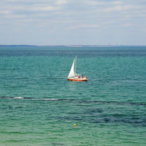 Фото от владельца Дельфин, пляж
