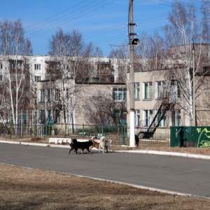 Фото от владельца Солнышко, детский сад №102 комбинированного вида