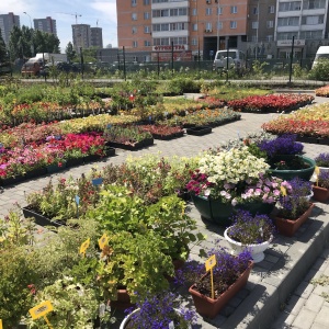 Фото от владельца ВСЁ ДЛЯ МЕБЕЛИ, торгово-производственная фирма