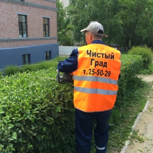 Фото от владельца Чистый град, клининговая компания