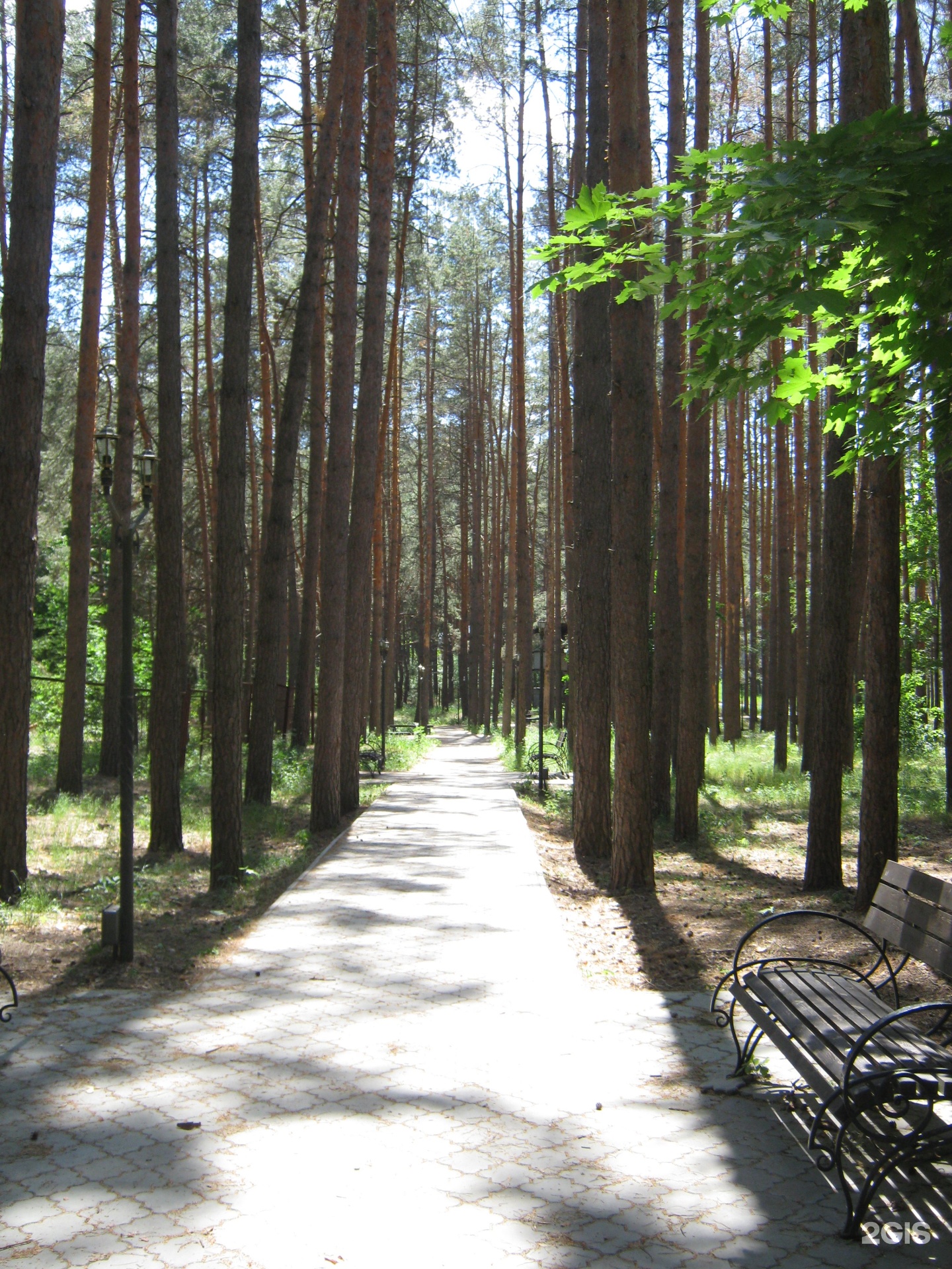 Парк солянка курск на карте