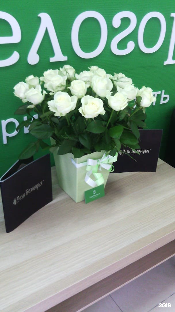 Купить Цветы В Белгороде Недорого Розы Белогорья