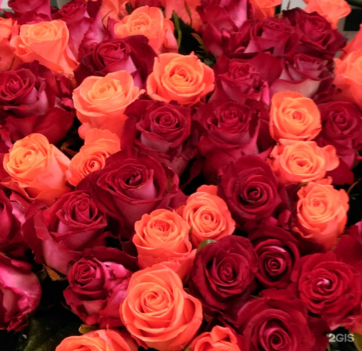 Купить Цветы В Белгороде Недорого Розы Белогорья