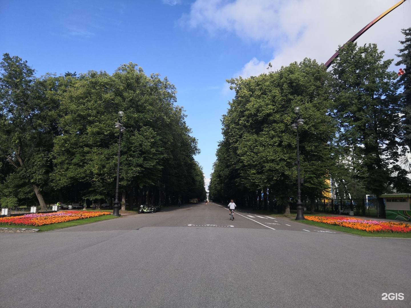 Велосипедист на крестовском проспекте. Приморский парк Победы в Санкт-Петербурге. Приморский парк Победы СПБ. Приморский парк 11 февраля. Озеро летом Приморский парк Победы СПБ.