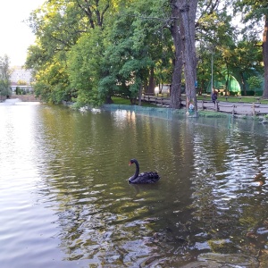 Фото от владельца Городской парк