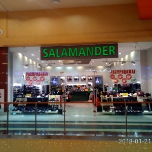 Фото от владельца Salamander, сеть салонов обуви