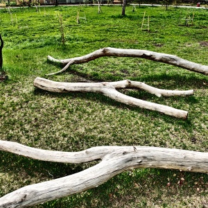 Фото от владельца Детский зоопарк