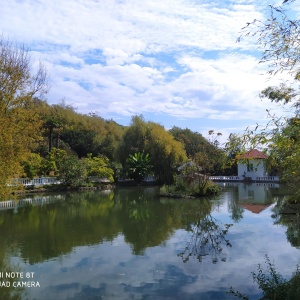 Фото от владельца Южные культуры, парк