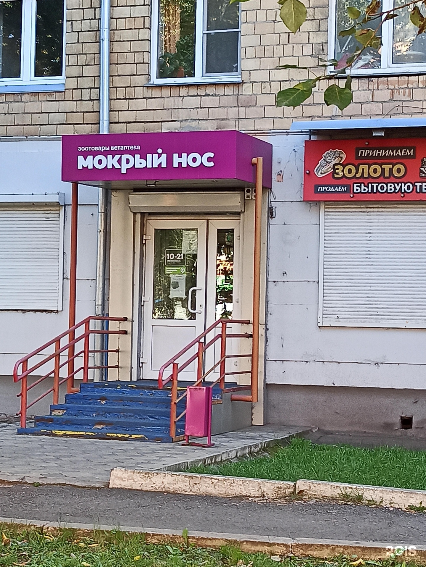 Мокрый нос красноярск