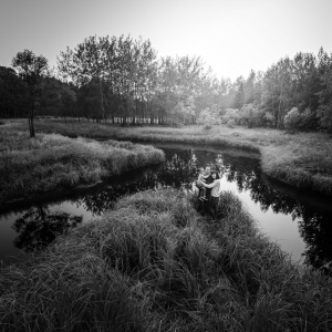 Фото от владельца Фотостудия Анатолия Павлова