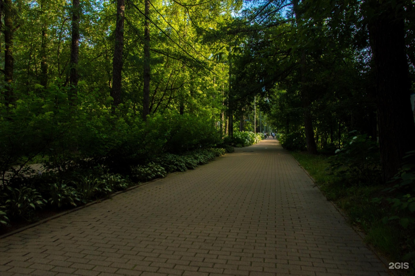 Green park sokolniki пр сокольнического круга 2. Парк Сокольники. Парк культуры Сокольники. Грин парк Москва Сокольники. Новогиреево парк культуры.