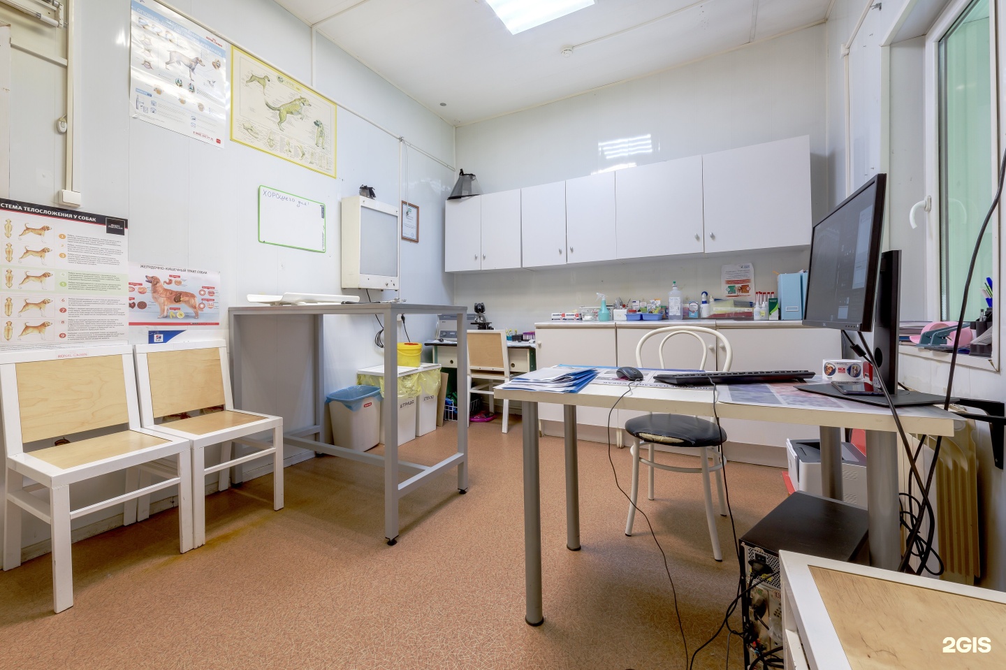 колтушская амбулатория