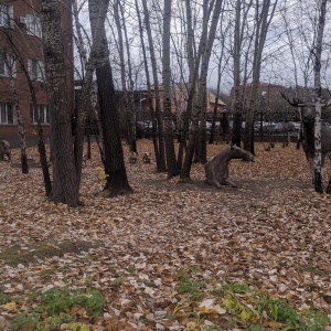 Фото от владельца Тюменский аккумуляторный завод, АО