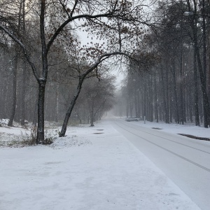 Фото от владельца Екатеринбургский Центральный Парк Культуры и Отдыха им. В.В. Маяковского