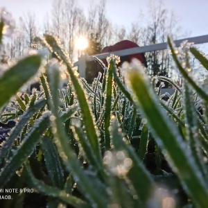 Фото от владельца Зубровник, парк семейного отдыха и экотуризма