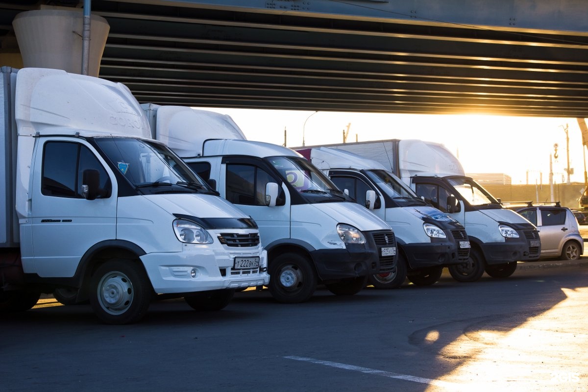 Star Soft Group, organization of auctions and tenders, Khabarovsk, Dzerzhinskogo
