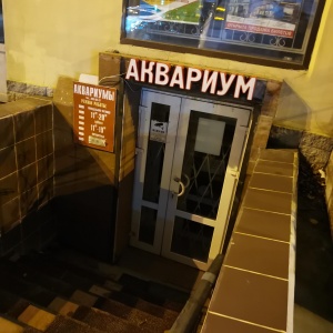 Фото от владельца Магазин аквариумов и аквариумных рыб, ИП Спиридонова М.А.