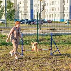 Фото от владельца Лидер, кинологическое объединение