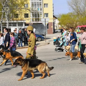 Фото от владельца Лидер, кинологическое объединение