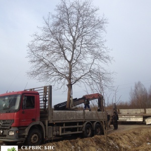 Фото от владельца Сервис БиС, ООО, торгово-сервисная компания