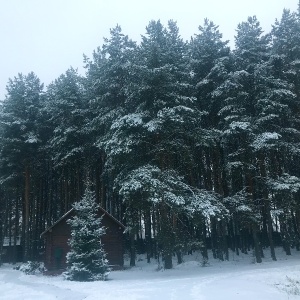 Фото от владельца Русская баня, ООО, оздоровительный комплекс