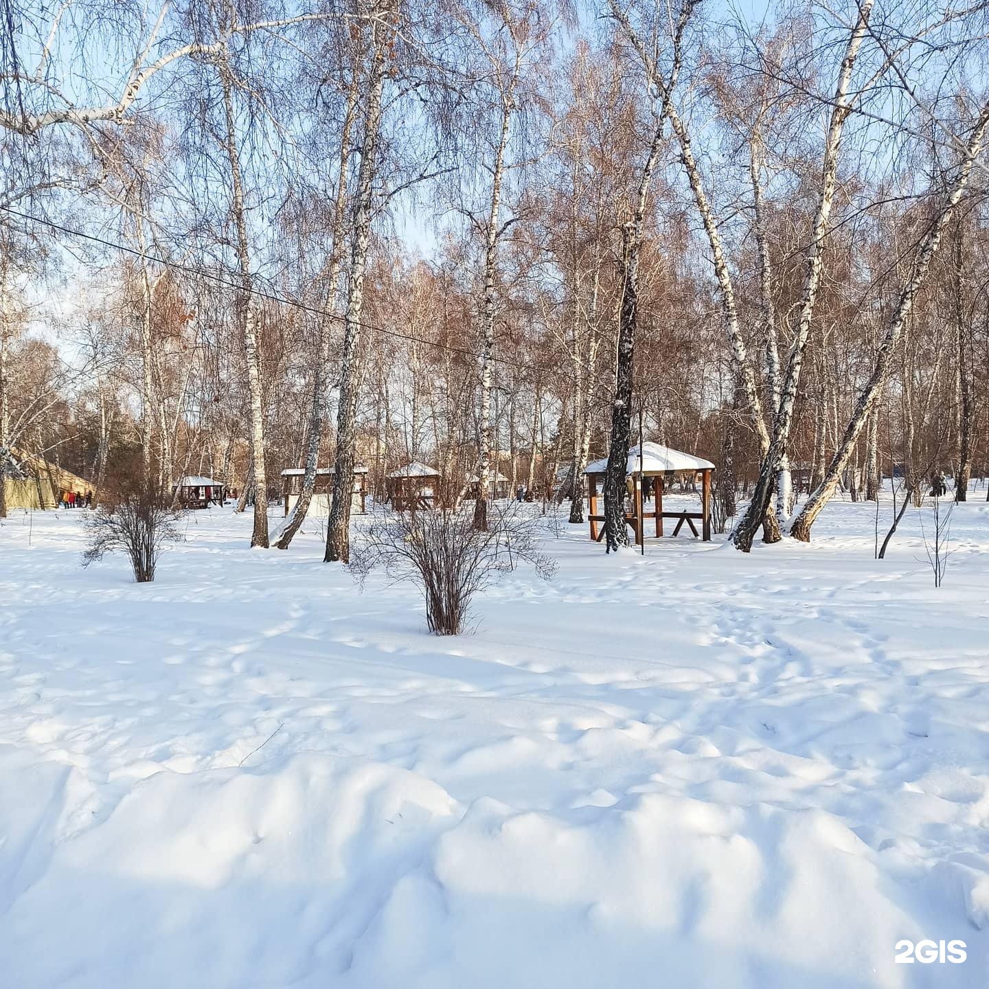 Парк на королева омск. Парк на королёва. Парк на Королева зимой. Парк на королёва Омск зимой.