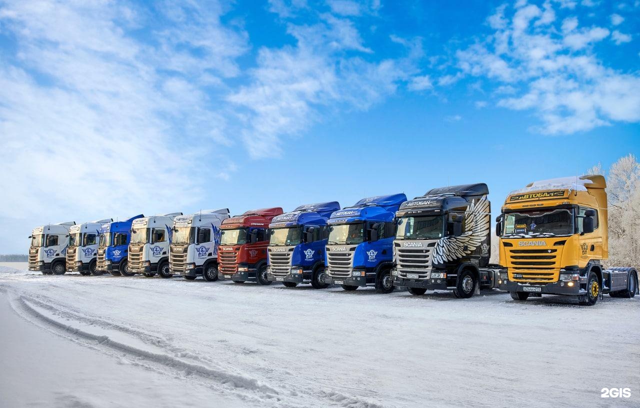 Камаз 5490 тк эксис. Мэйджор экспресс машины. Собственный автопарк грузового транспорта. Собственный автопарк транспортной компании. Грузовой автопарк.