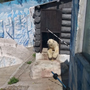 Фото от владельца Приамурский, зоосад им. В.П. Сысоева