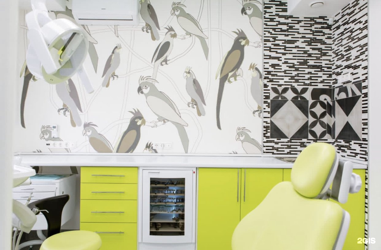 рададент плюс. стоматология дентал энгельса 126. дентал маг тольятти стоматология. дентал плюс тольятти. стоматология студия.