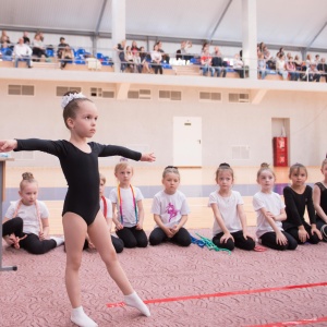 Фото от владельца Резонанс, школа эстетической гимнастики