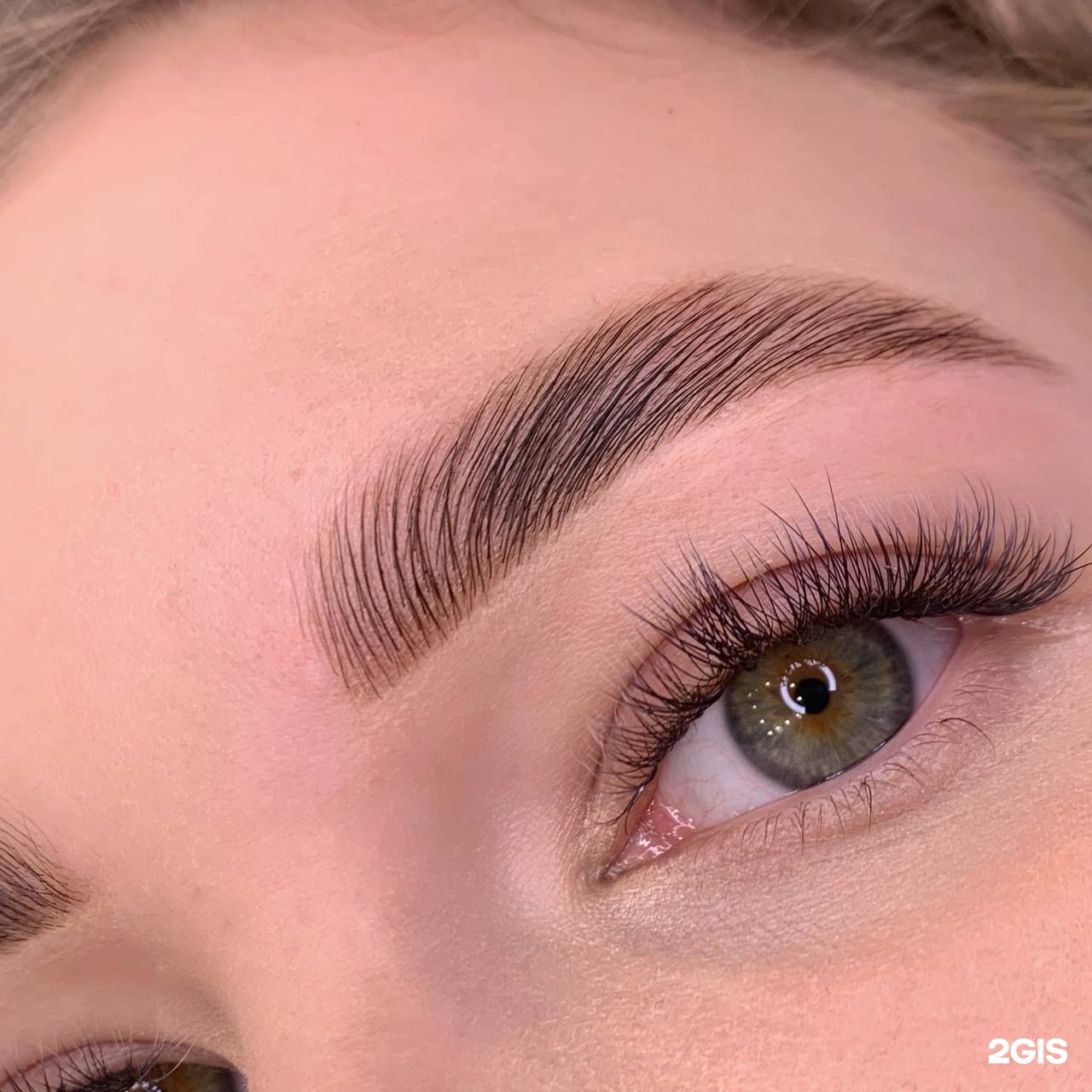 Eva brow. Eva brow