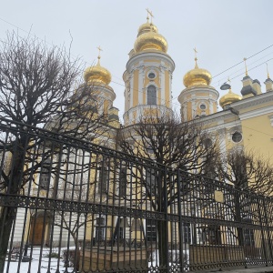 Фото от владельца Собор Владимирской иконы Божией Матери на Владимирской площади