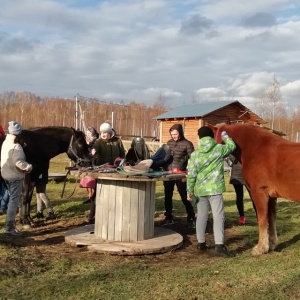 Фото от владельца Royal Horse, конный клуб