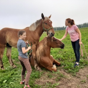 Фото от владельца Royal Horse, конный клуб