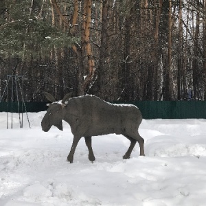 Фото от владельца Ашмарино, ООО, спортивно-оздоровительный комплекс