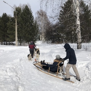 Фото от владельца Солнечный, детский оздоровительный лагерь